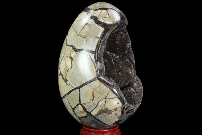 Septarian Dragon Egg Geode - Black Crystals #95920